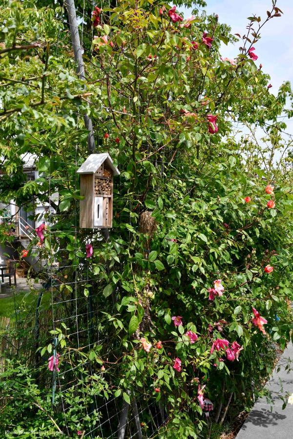 Les Glycines Mauves Bed & Breakfast Braine-l'Alleud Exterior photo